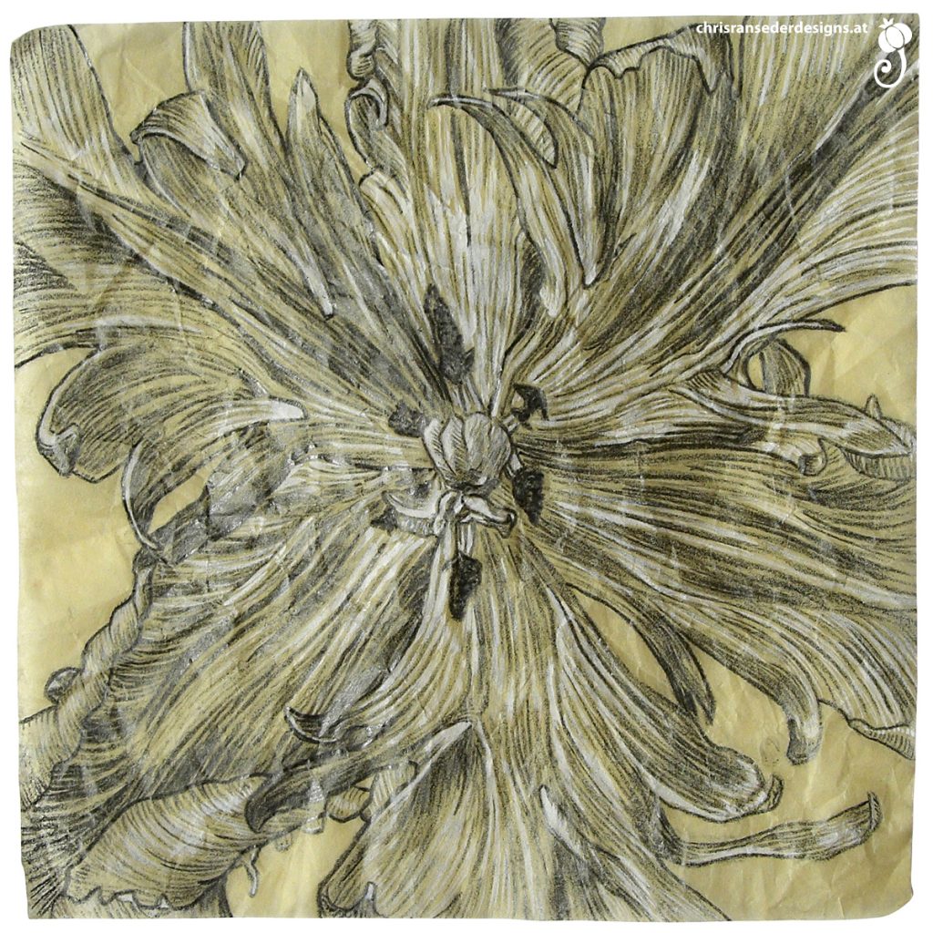 Drawing of a faded tulip. | Zeichnung einer verwelkten Tulpe.