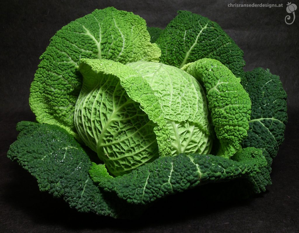 Cabbage. | Kohl.