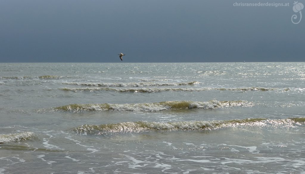 Picture of the ocean. | Foto von Meereswellen, ein Vogel am Horizont.