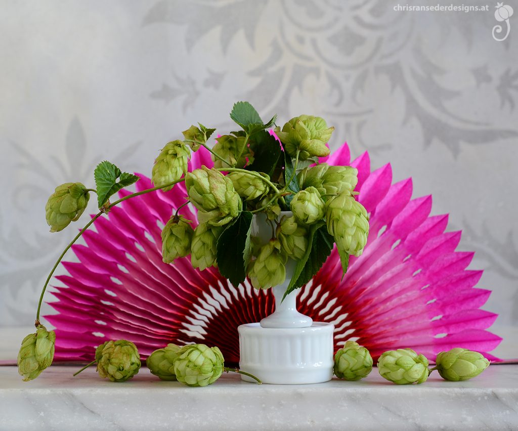 A simple green bouquet of hops in a white goblet stands in front of a semicircular pink paperornament. | Ein grünes Hopfensträußchen in einem weißen Pokal, platziert vor einem pinkfarbenen Papierfächer. 