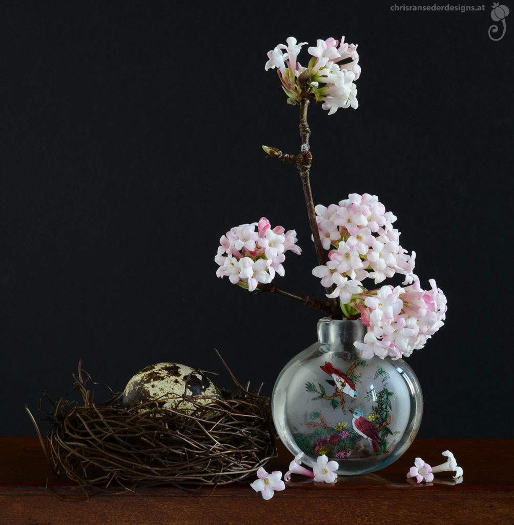 Bouquet of viburnum x bodnantense in a chinese perfume bottle and a fake Bird´s nest plus egg. | Winterschneeball in einem chinesischen Parfumflakon und unechtes Vogelnest mit Ei.
