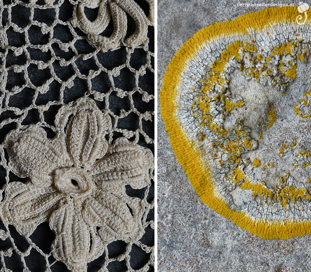 Crocheted lace with threedimensional flowers. Circular yellow and white coloured lichen. | Häkelspitze mit dreidimensionalen Blumen. Runde weiß-gelb gefärbte Flechte.