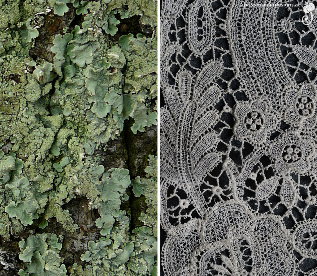 Leafy, light green lichen. White lace with a floral pattern. | Hellgrüne, blattartige Flechte. Weiße Spitze mit floralem Muster.