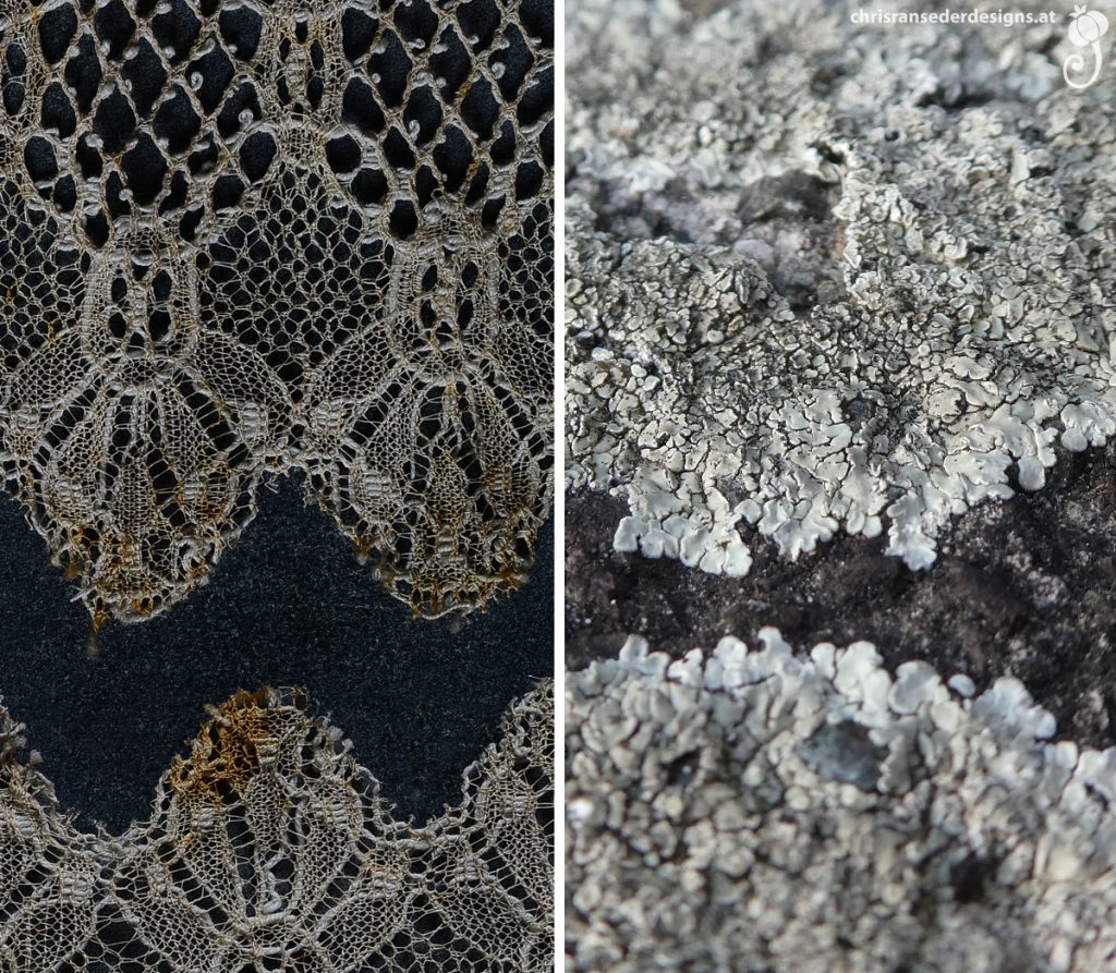 Border of a piece of lace with tea stains. Detail of a lichen with a rather scaly structure. | Der Rand einer Spitze mit braunen Teeflecken. Detail einer Flechte mit schuppiger Struktur.