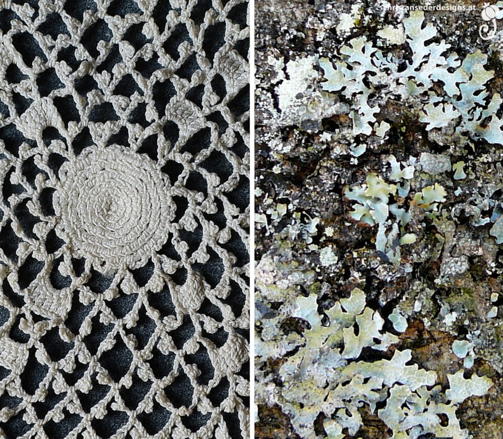 Crocheted lace with diamond pattern and circular ornament. Leafy, kale-like lichen. | Häkelspitze mit Diamantenmuster und rundem Mittelornament. Flechten mit blättriger Struktur.
