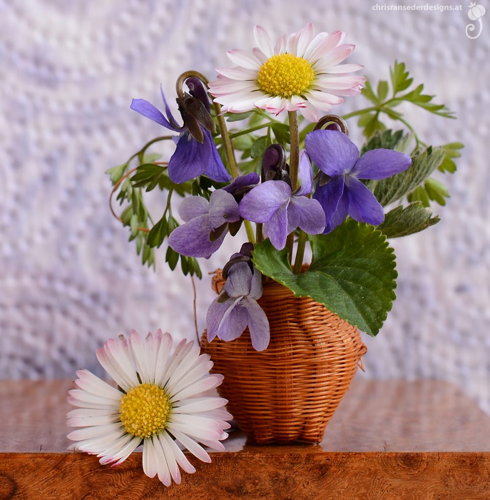 Tiny basket filled with violets and a daisy. | Winziger Korb mit Veilchen und einem Gänseblümchen.