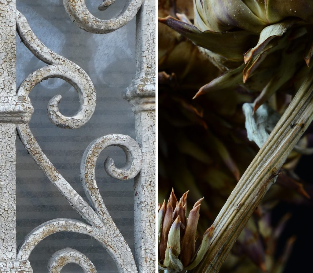 Detail of a wrought iron window grille. | The dry stem of an artichoke thistle.