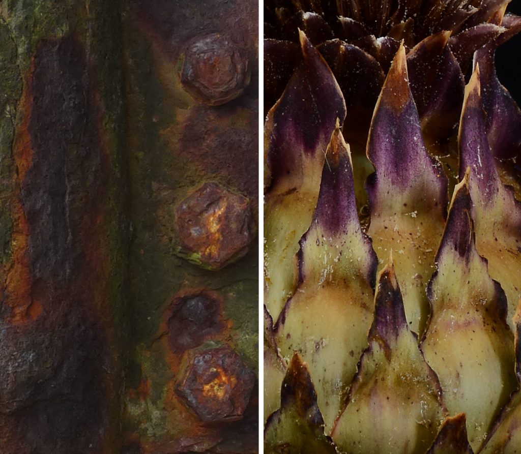 The rusty surface of an iron pillar. | Dry sepals of an artichoke thistle.